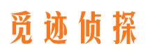 江城外遇调查取证